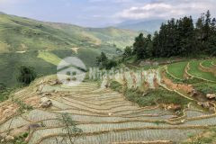 Bán mảnh đất 360m2 mặt đường tl158, gần bến xe du lịch y tý