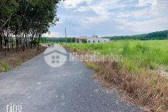 Liên hệ 0898.38.47.38 mr khánh đầu tư sinh lời mùa dịch