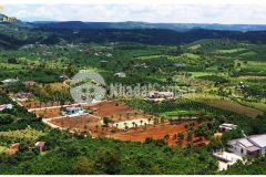 Chính chủ ngộp cần ra gấp gần 1 sào đất có thổ cư,sổ hồng riêng ngay mặt tiền đường nguyễn văn cư