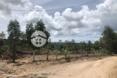 Ra nhanh 3 nền đất phú quốc 90m2 315 triệu