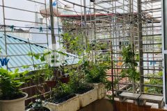 Bán nhà phố trúc khê đống đa, vị trí đẹp, dt 28m2, 5 tầng, 4 tỷ