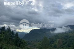 Chính chủ cần bán gấp 730m sín chải giá cực ưu đãi