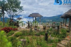 Cc cần bán nhanh mảnh đất phan cán sử view săn mây,gần sân golf,giá đàu tư