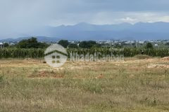 Bán lô đất thị trấn chợ lầu 4200m2, giá 120.000đm2 cách đường liên huyện 150m, gần biển