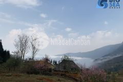 Bán nhanh mảnh đất ần khu trung tâm hành chính xã y tý sapa 2