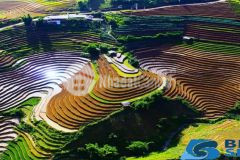 Bán đất thôn mò phú chải 500m2, ngay điểm trường thôn y tý bát xát lào cai