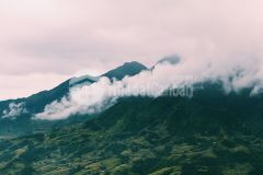 Chủ nhà cần bán gấp lô 600m2. nguyễn chí thanh sapa