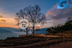 Bán đất thôn trung trải diện tích 3300m2 y tý bát xát lào cai