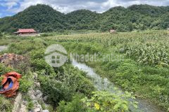 Bán đất khu du lịch quốc gia mộc châu sơn la.