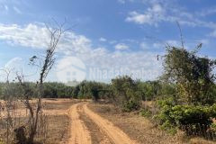 Đất đường xe hơi vô tận nơi, sổ hồng chính chủ với giá 720 triệu đồng