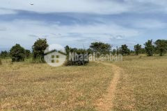 Bán lô đất cách biển bình thuận chỉ 5km, diện tích 8000m2