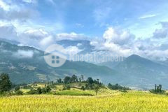 Bán đất view siêu đẹp tại lao chải, y tý sapa 2