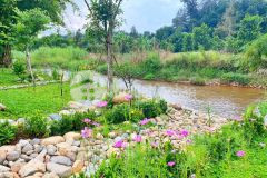 Mở bán kdc mới ngay tại thành phố biên hòa chỉ với 399 triệu cam kết sổ hồng riêng 100