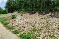 Bán đất giá rẻ làm vườn nhỏ cho gia đình xã khánh hiệp lh 0788.558.552