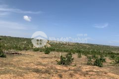 Lô đất 10900m2 xã hòa thắng, cách đường dt716 500m, ra kdl bàu trắng chỉ 10 phút thông tin