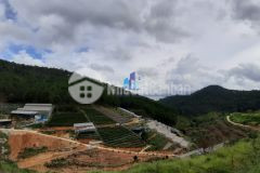 Bán đất đường hùng vương phường 10 tp. đà lạt. diện tích 552.3 mv 7.0777.52