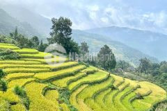 Bán gấp lô đất view đẹp nhất sapa 2 lào cai phù hợp làm du lịch giá dầu tư