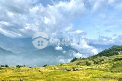 Đầu tư an toàn vfa giá siêu tốt tại y tý sapa 2