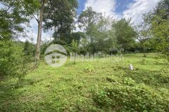 Bán mảnh đất 668m2 tại sapa2, quy hoạch đất ở, ô tô vào tận đất, lh0933.56.1998