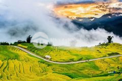 Bán gấp lô đất 668m2 lao chải y tý quy hoạch đất ở