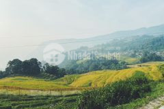 Bán gấp lô đất vị trí đắc địa mặt tl 158 sapa 2 lào cai giá đầu tư f0