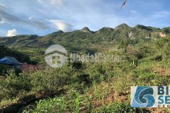 Bán mảnh đất ngon bổ rẻ trung tâm xã chiềng sơn, mộc châu