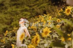 Đất mộc châu vị trí đẹp, diện tích rộng sẵn thổ cư