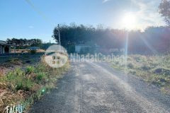 Dịch em bán phá giá lô đất vườn 1000m2 shr, hớn quản bình phước