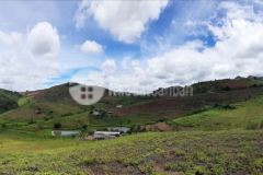 Đất làm trang trại tại mộc châu giá rẻ chỉ với 50km