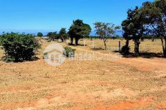 Mua đất nông nghiệp bình thuận giá rẻ có phải là lý do duy nhất