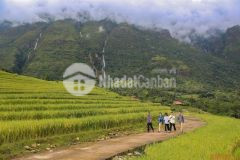 Bán mảnh đất 238m2 tại y tý, giá chỉ vài trăm triệu