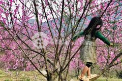 Bán gấp lô đất xã y tý lào cai mặt tiền 25m đường bê tông ô tô vào tận đất