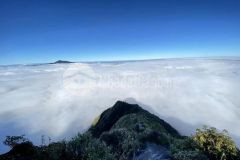 Đất view, săn mây siêu đẳng cấp tại phan cán sử, y tý sapa 2