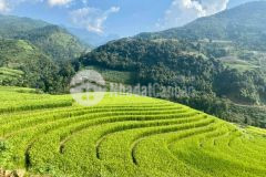 Bán mảnh đất thị xã sapa, thôn hang đá giá vô cùng rẻ