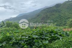 Bán lô đất view đồi núi cực đẹp tại thị xã sapa