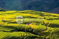 Bán mảnh đất khu đô thị mới gần hành chính huyện ở y tý sapa 2