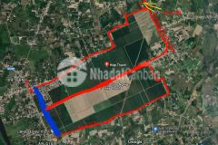 Bán đất 5x36 100tc sát cổng kcn hiệp thạnh gò dầu tây ninh 370tr