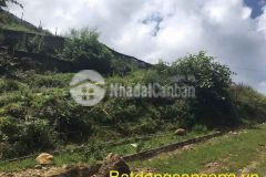 Bán lô đất đẹp giá hợp lý tại thôn sâu chua