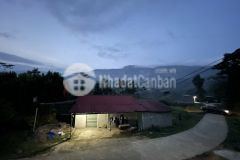 Đất nền y tý đón đầu sóng quy hoạch 12000, giá đầu tư