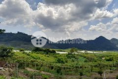 Bán đất du lịch tại mộc châu, sơn la diện tích 2,7ha