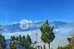 Bán đất nghỉ dưỡng vew hồ điều hòa tại y tý sa pa2