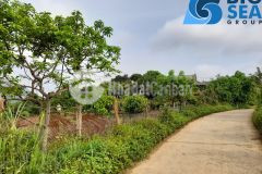 Bán nhanh mảnh đất s 1500m2 view nhìn toàn cảnh thị trấn mộc châu