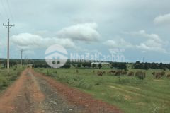 Bán lô đất 10.000m2 xã hòa thắng đất có sổ hồng riêng công chứng ngay