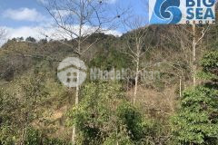 Chính chủ cần bán ô đất s 1500m mò phú chải sapa 2 view biển mây, săn tuyết