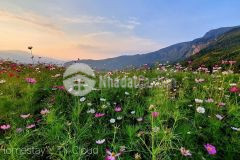 Bán lô đất sapa 2 lào cai view siêu đẹp giá siêu net