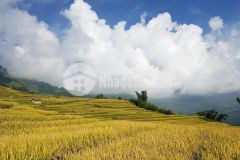 Đất nền sapa 2 du lịch nghỉ dưỡng 4 mùa, giá chỉ 2 triệum2