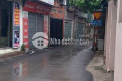 Bán đất tặng nhà, nam dư, lĩnh nam,lô góc, ô tô, kinh doanh, 35m2, mt 5,5m, giá 2,35 tỷ