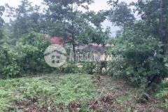 Bán mảnh đất quy hoạch đất ở, gần điểm trường, giá đầu tư