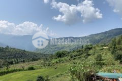 Cơ hội vàng cho những nhà đầu tư đất sapa 2