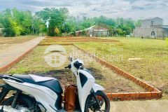 Đất sụp hố nặng cần ra đi cho nhà đầu tư tài chính vừa, cơ hội sơ hữu bđs nam đn chỉ trong tháng 8